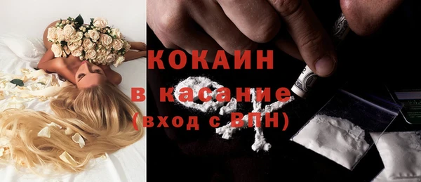 дурь Арсеньев