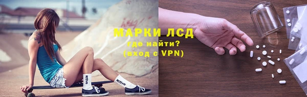 мяу мяу мука Аркадак
