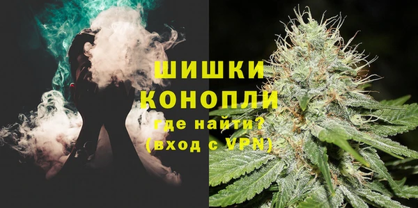 дурь Арсеньев