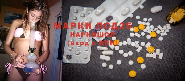 мяу мяу мука Аркадак
