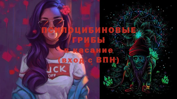 дурь Арсеньев